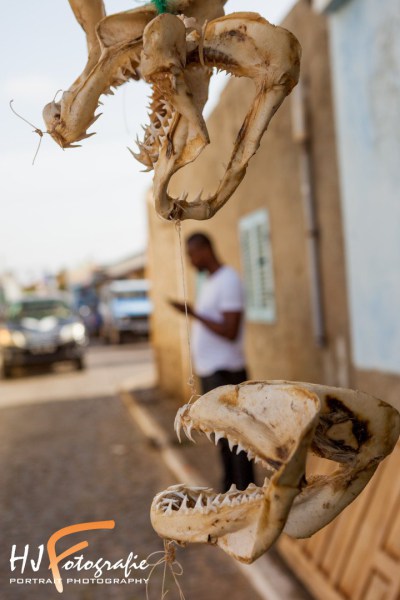 HJ-Fotografie-Kaap-Verdie-Dec-2019-76